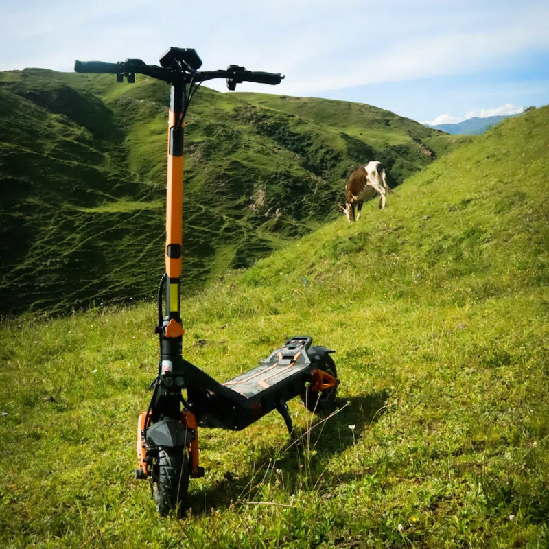 Comfortable Pedals: Extra-long pedals ensure a comfortable ride. 